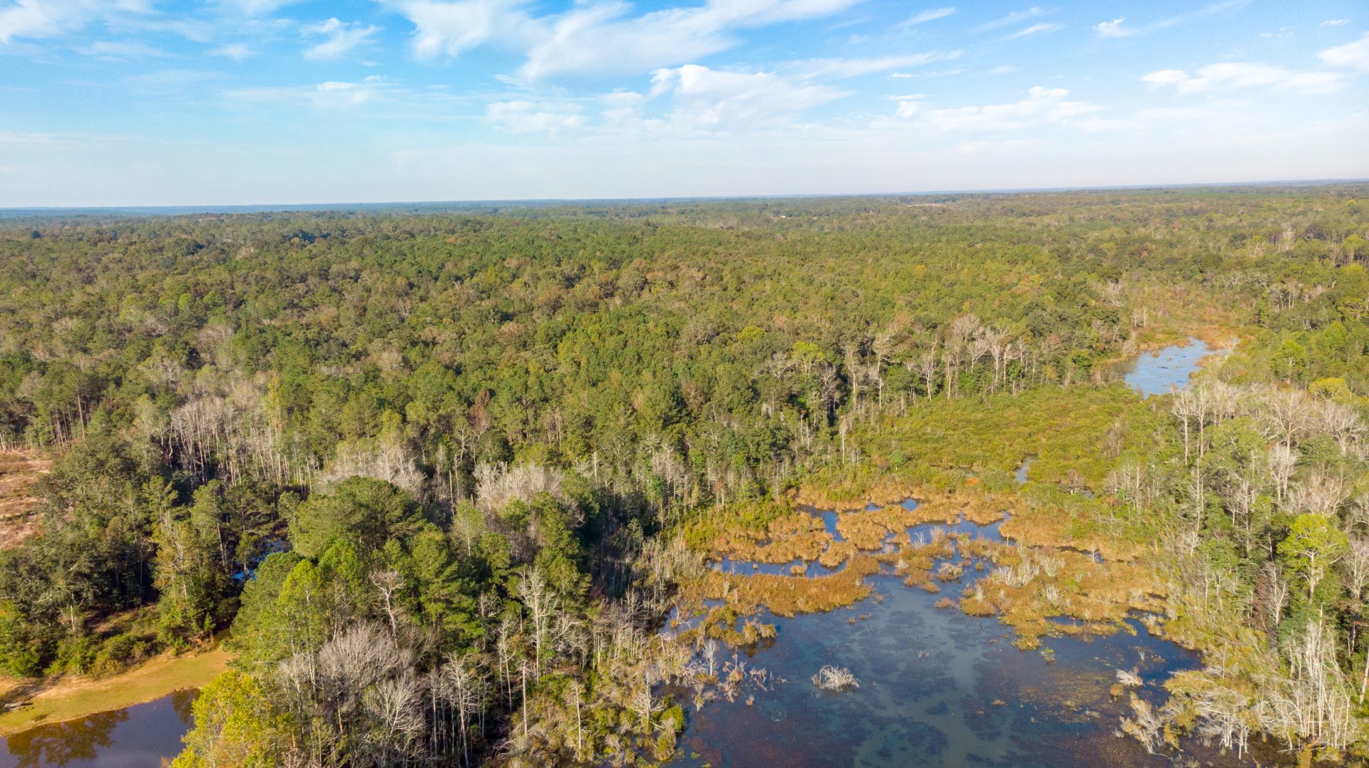 Mill Creek Farms New Era Land Company