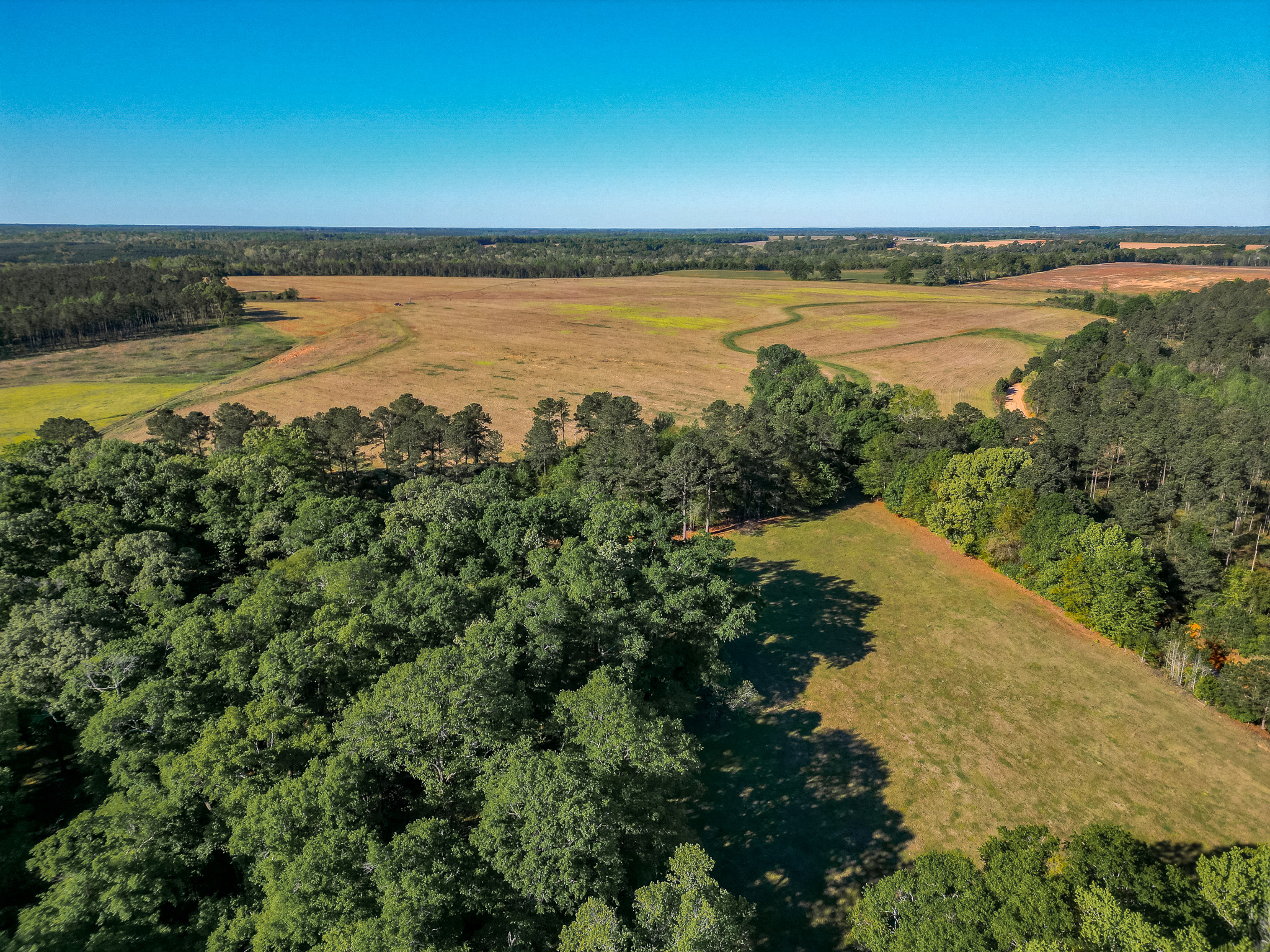 DNS Farms New Era Land Company