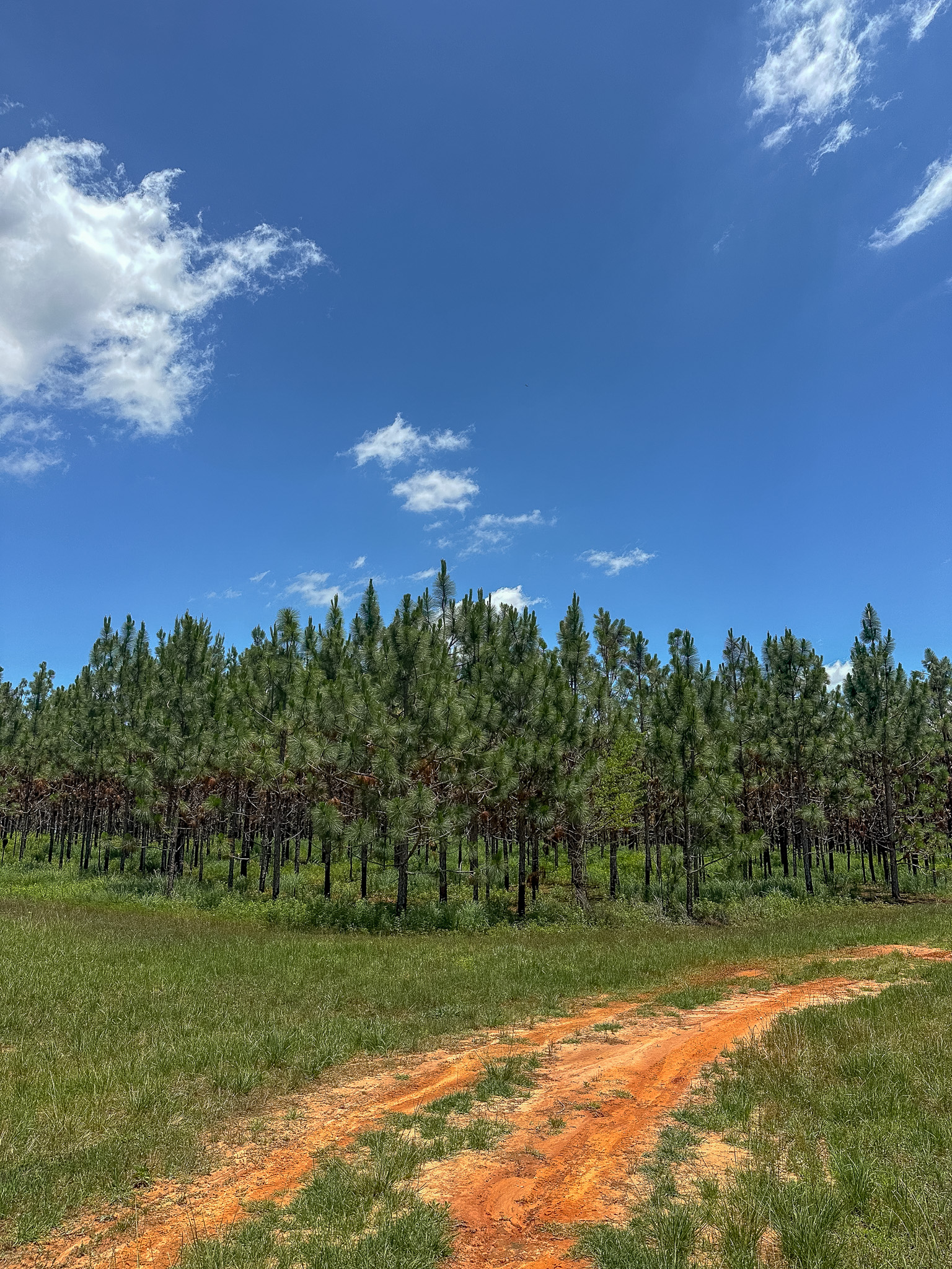 Longleaf Farms New Era Land Company