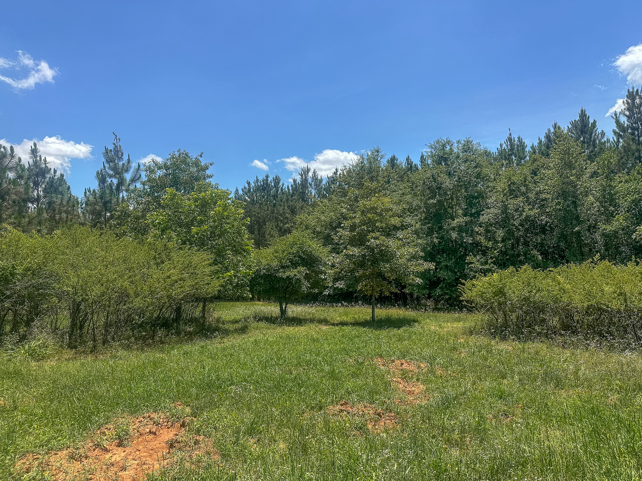 Longleaf Farms New Era Land Company