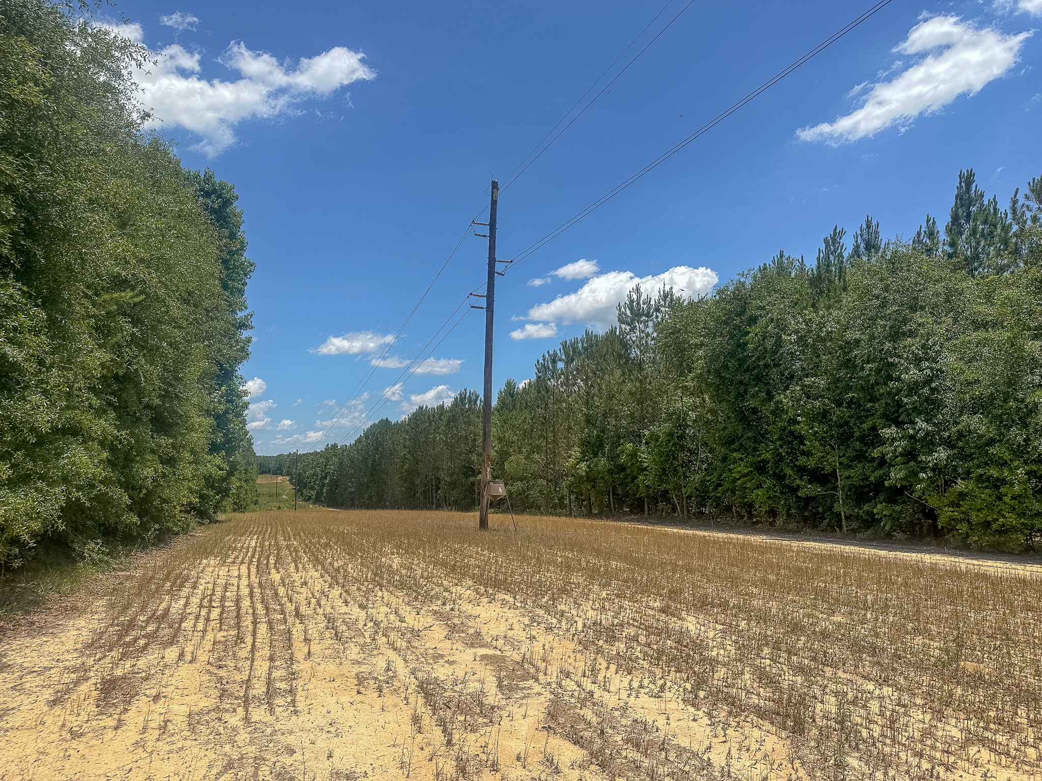 Longleaf Farms New Era Land Company